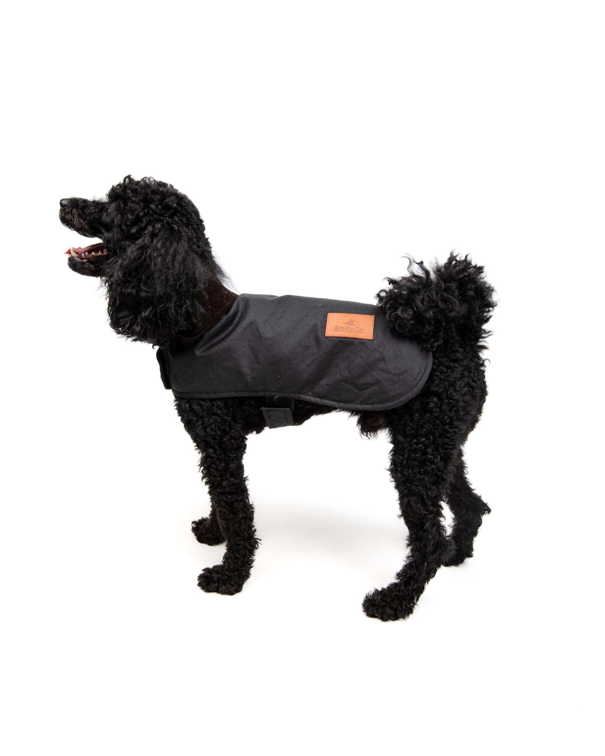 Wax Cotton Dog Coat — Black