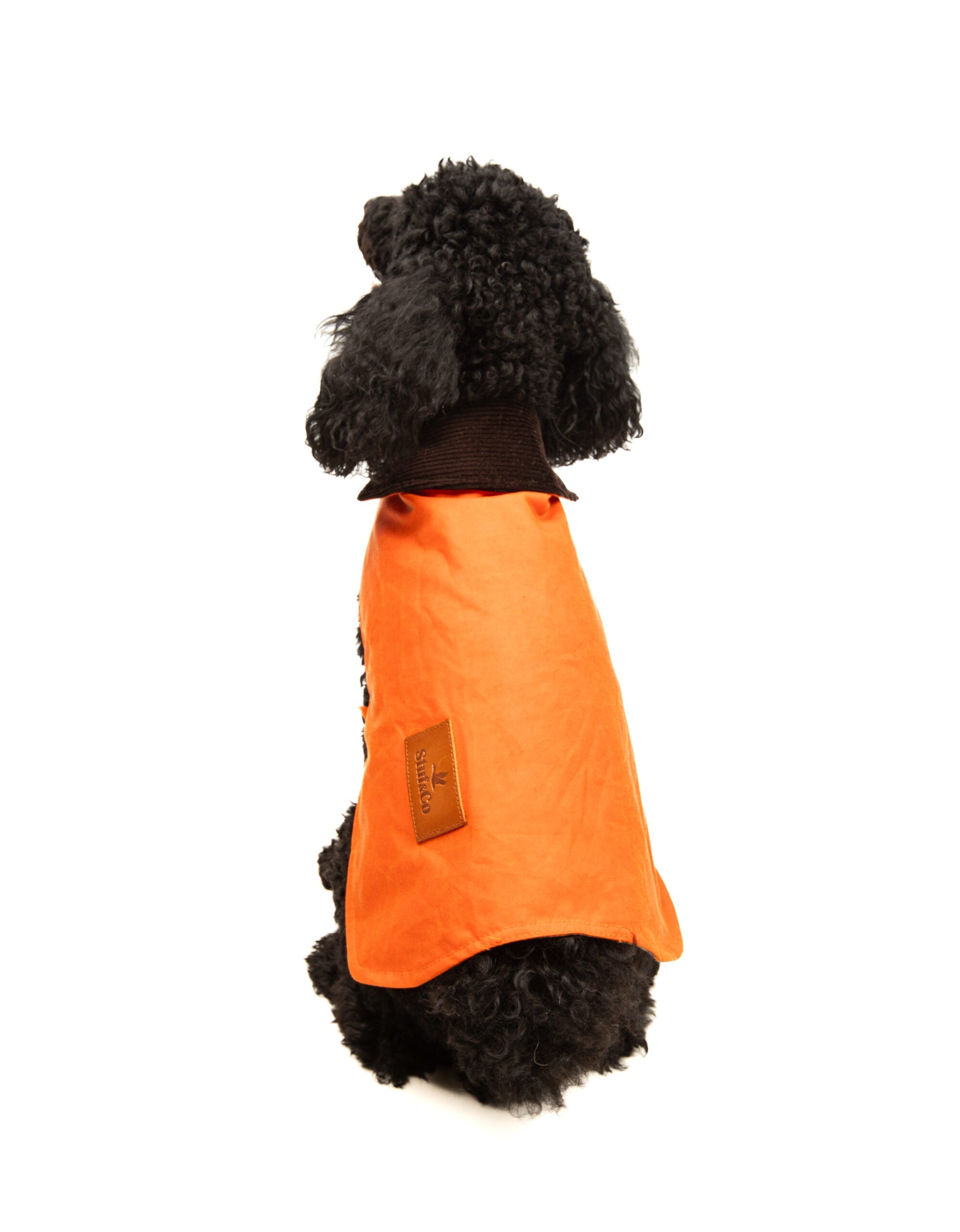 Wax Cotton Dog Coat — Orange