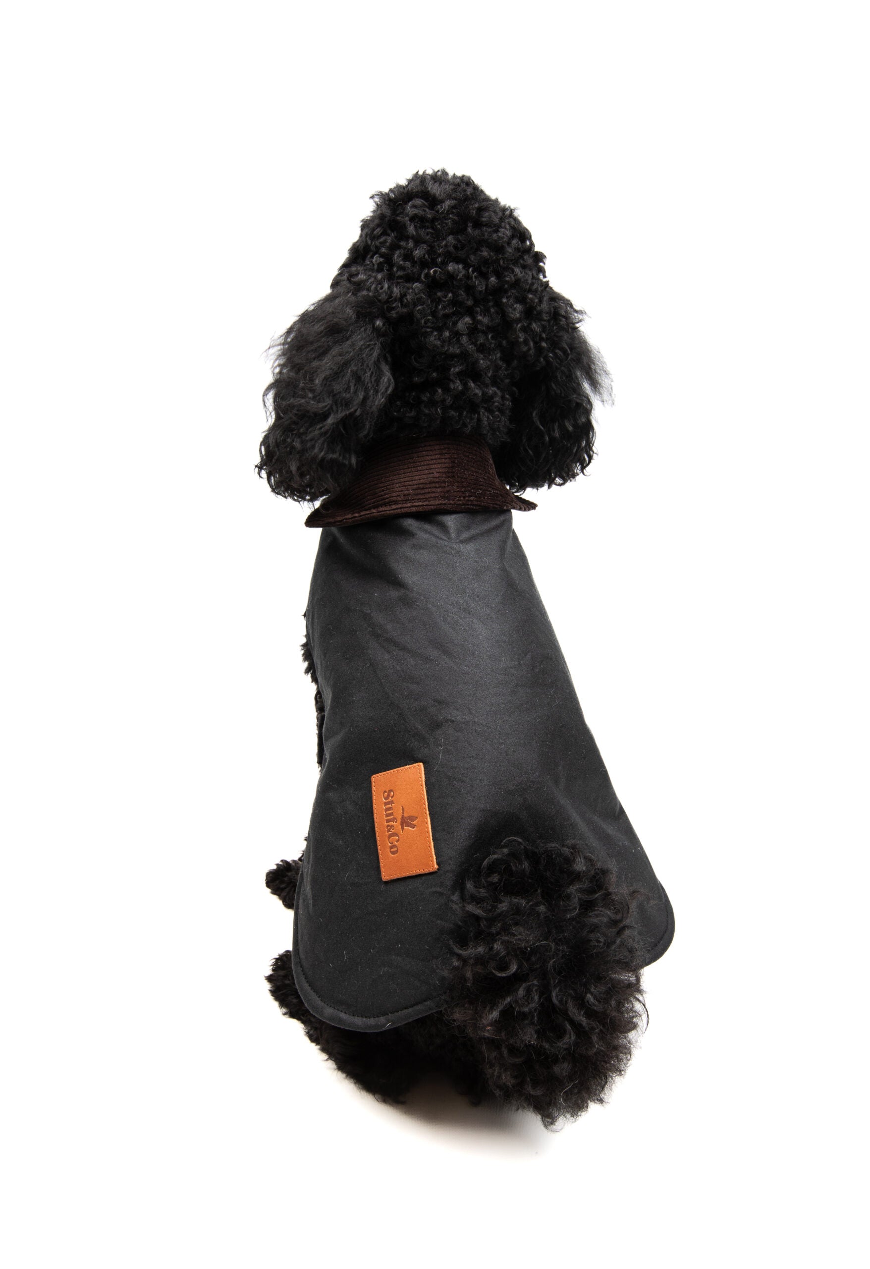 Wax Cotton Dog Coat — Black