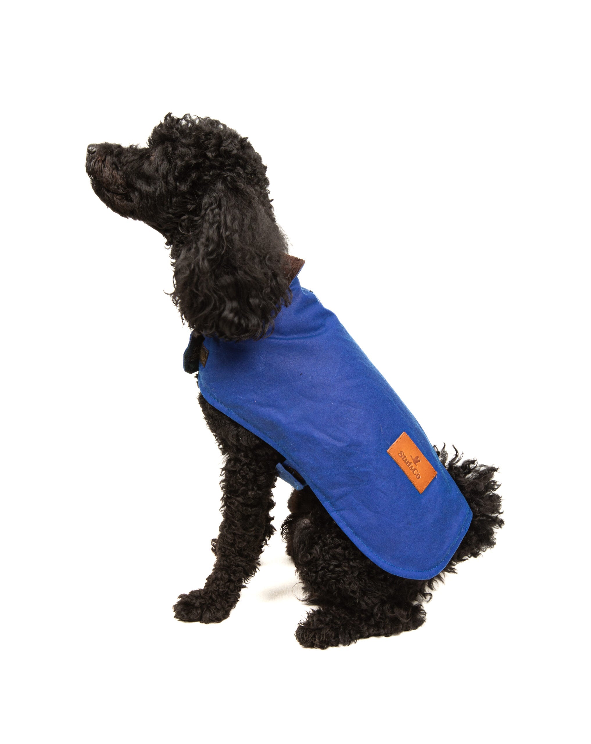 Wax Cotton Dog Coat — Aegean Blue