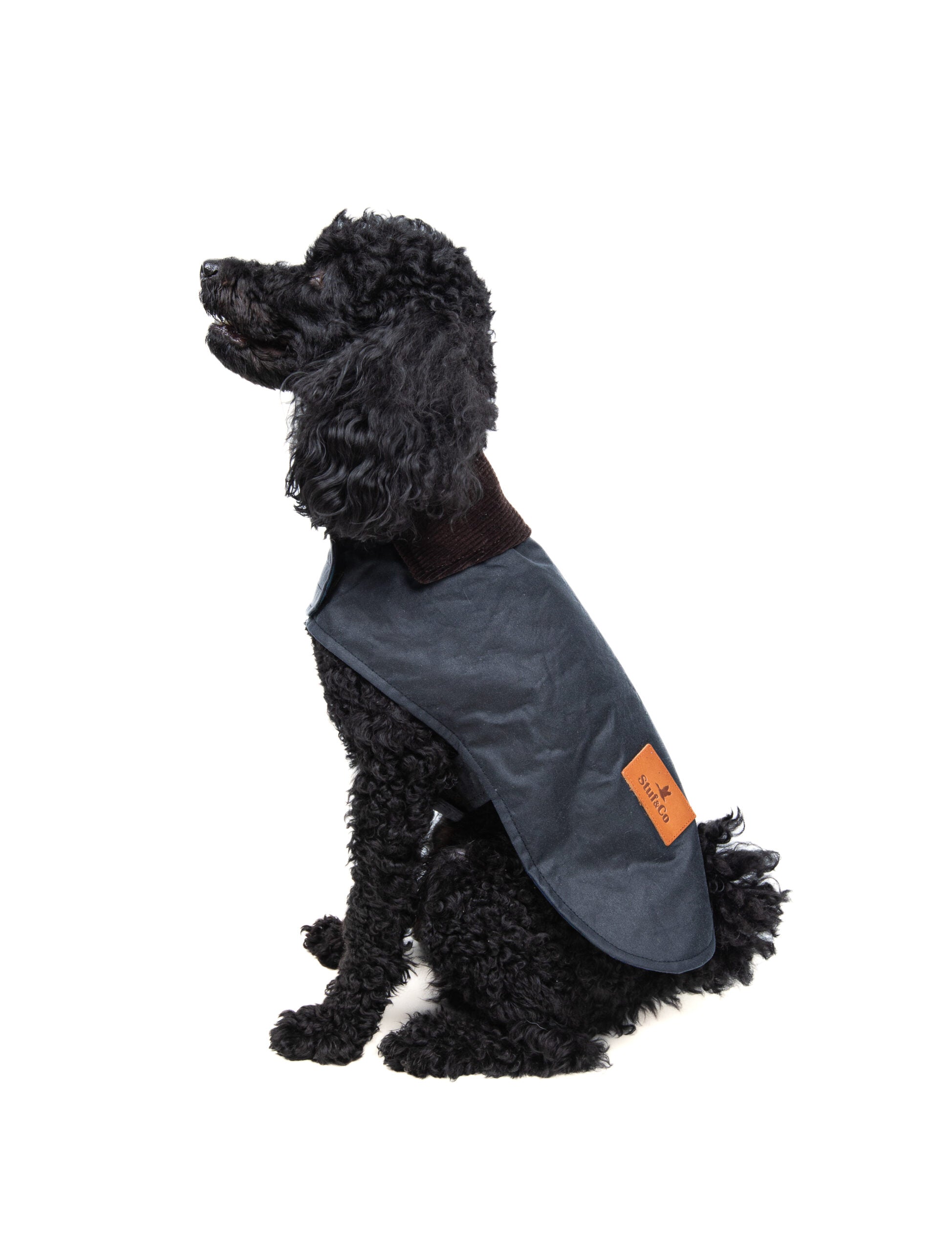 Wax Cotton Dog Coat — Navy