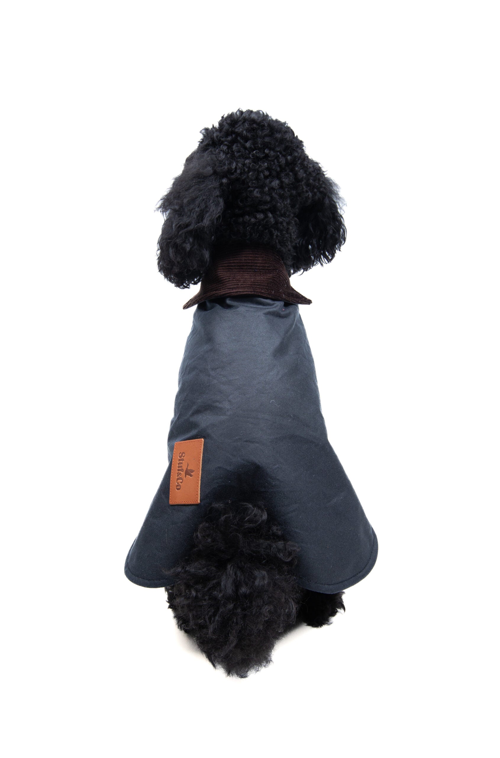 Wax Cotton Dog Coat — Navy
