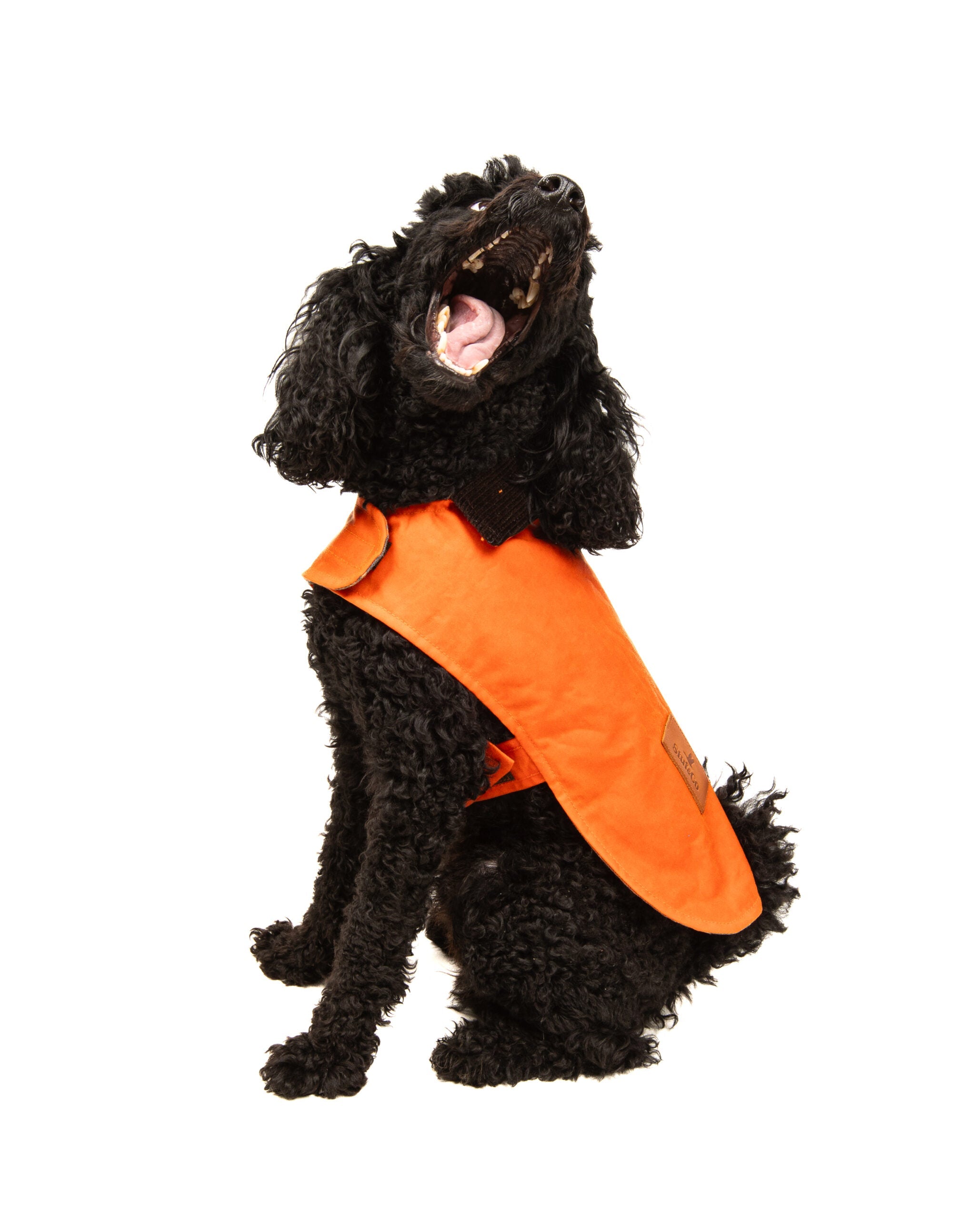 Wax Cotton Dog Coat — Orange