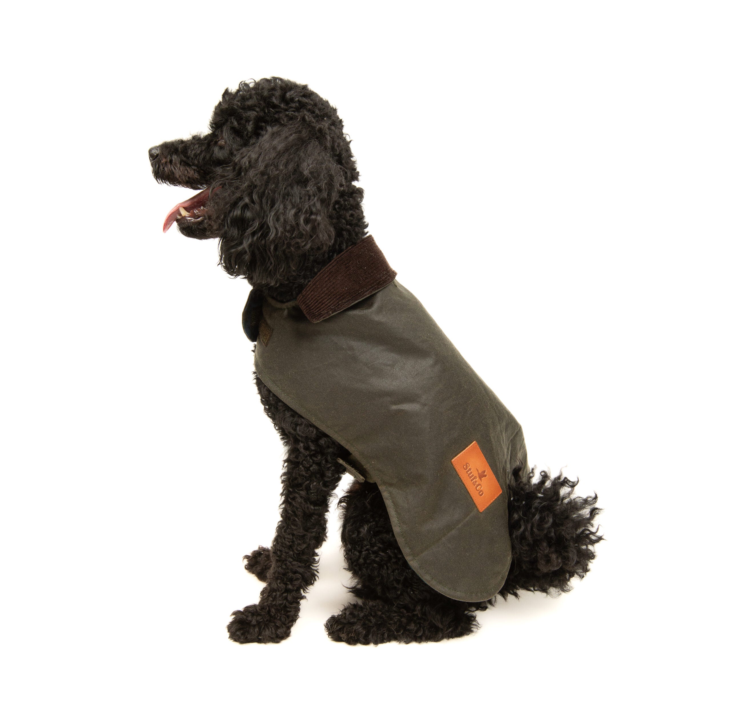 Wax Cotton Dog Coat — Olive Green