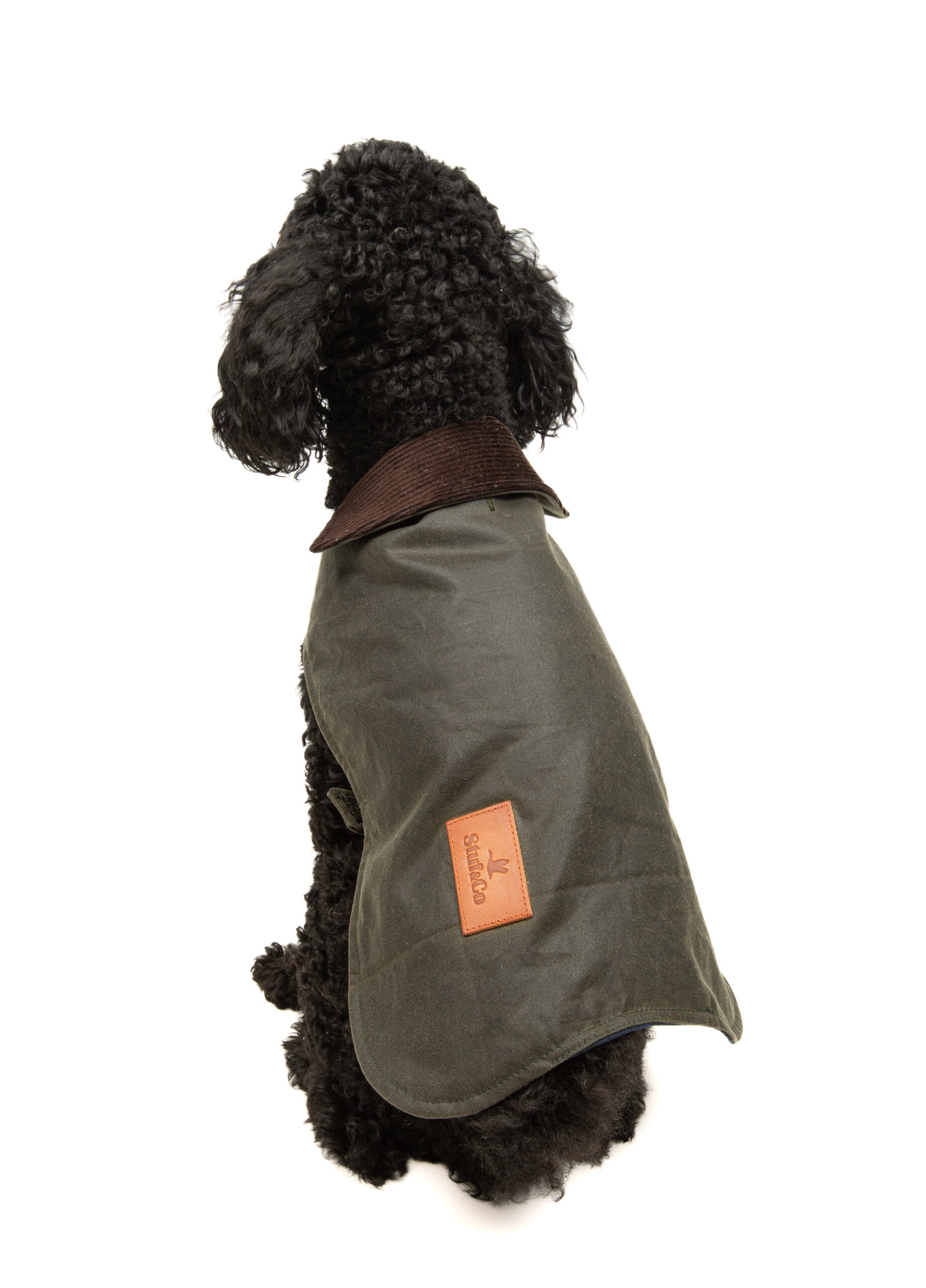 Wax Cotton Dog Coat — Olive Green