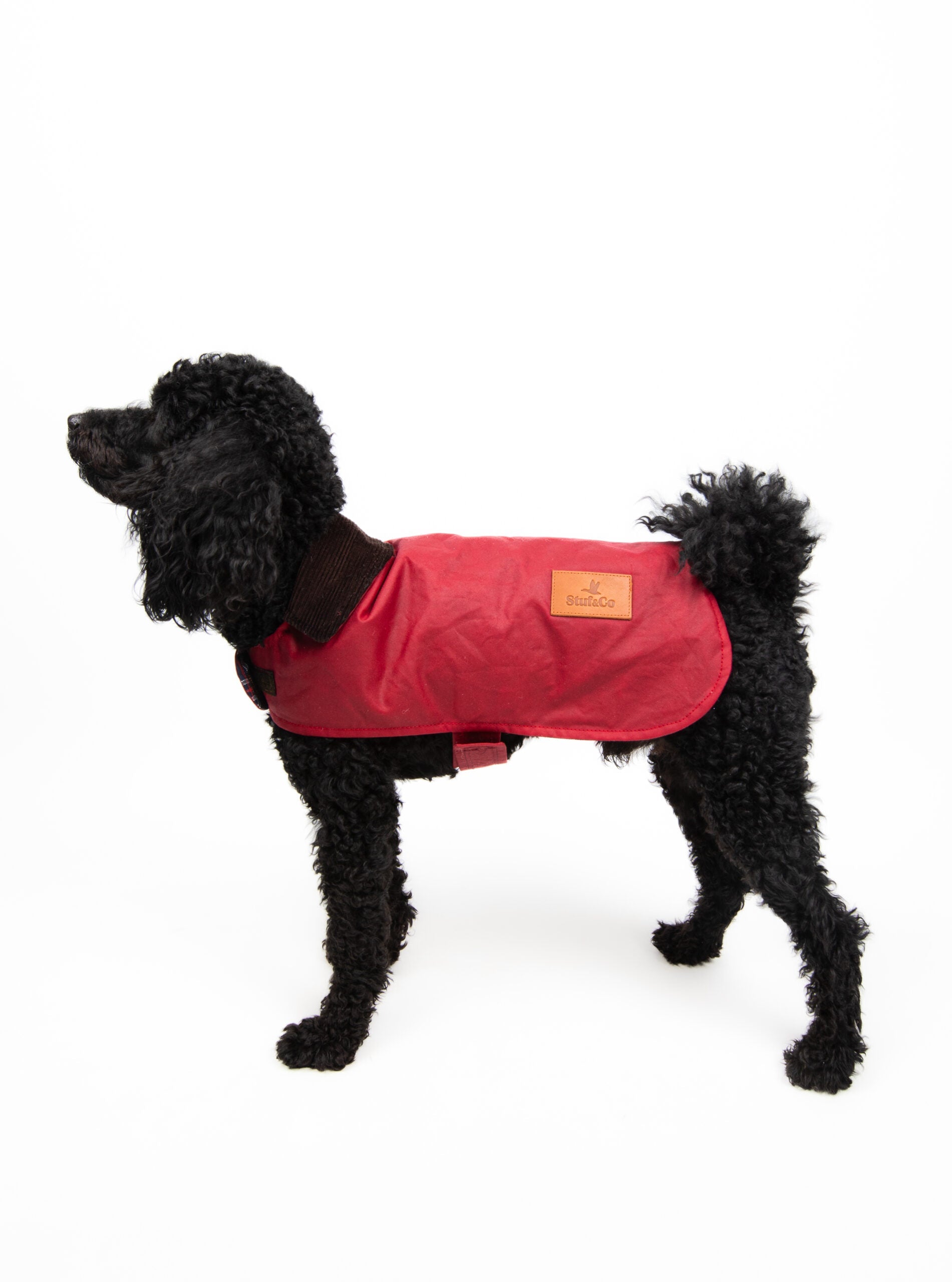 Wax Cotton Dog Coat — Red